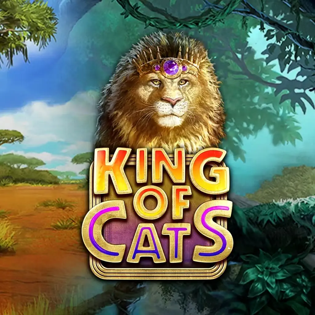 Правила слота King Of Cats - полное руководство Правила слота King Of Cats - полное руководство